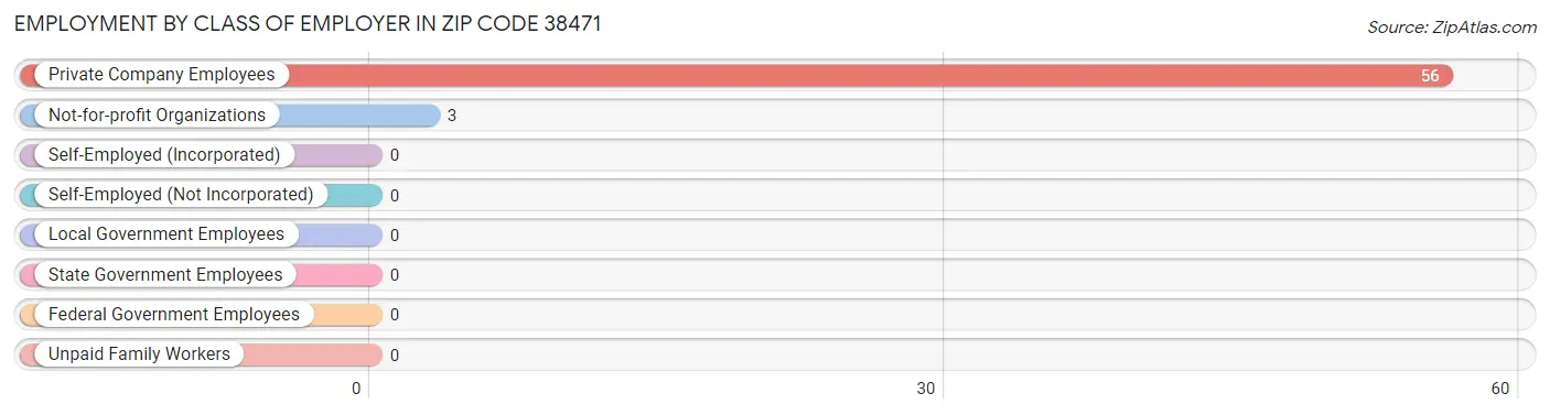 Employment by Class of Employer in Zip Code 38471