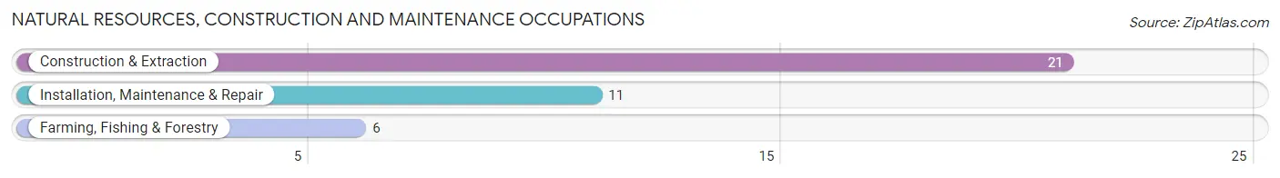 Natural Resources, Construction and Maintenance Occupations in Zip Code 38471