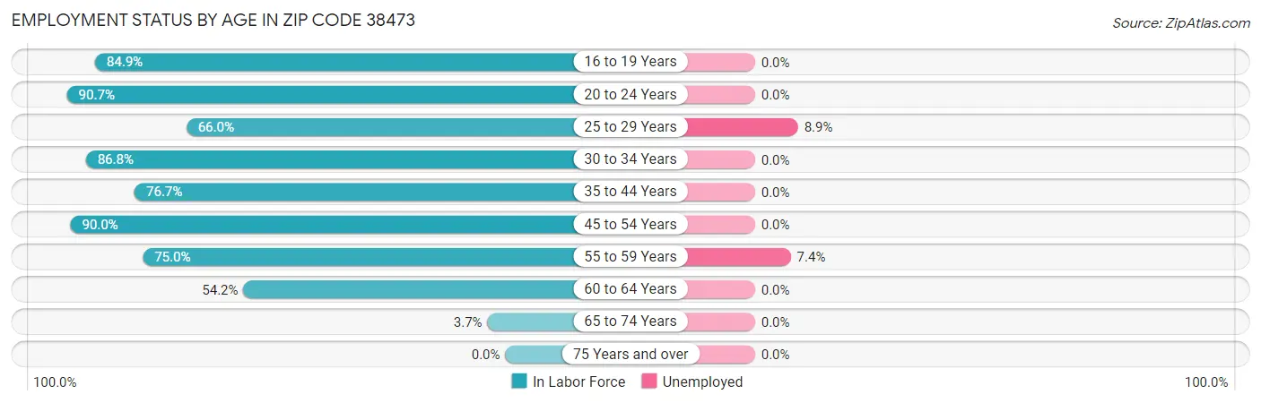 Employment Status by Age in Zip Code 38473