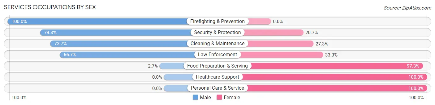 Services Occupations by Sex in Zip Code 38473