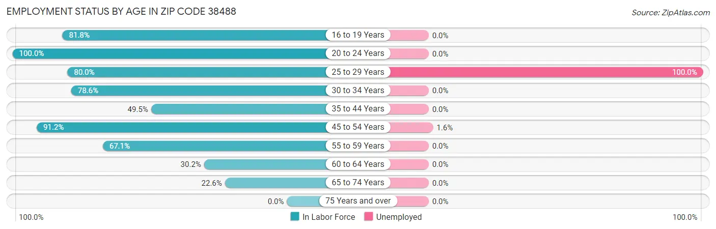 Employment Status by Age in Zip Code 38488