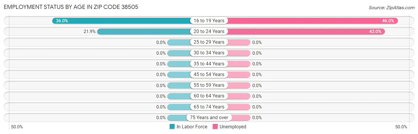 Employment Status by Age in Zip Code 38505