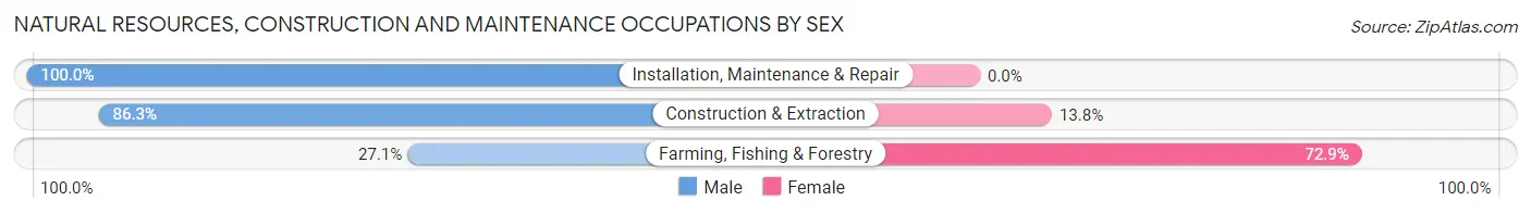 Natural Resources, Construction and Maintenance Occupations by Sex in Zip Code 38506
