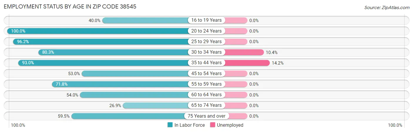 Employment Status by Age in Zip Code 38545