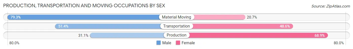 Production, Transportation and Moving Occupations by Sex in Zip Code 38563