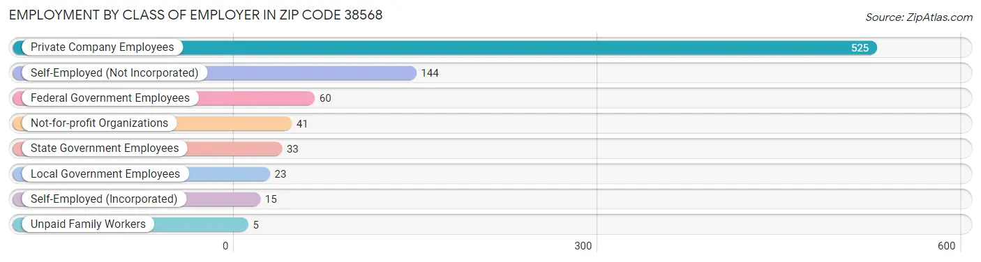 Employment by Class of Employer in Zip Code 38568