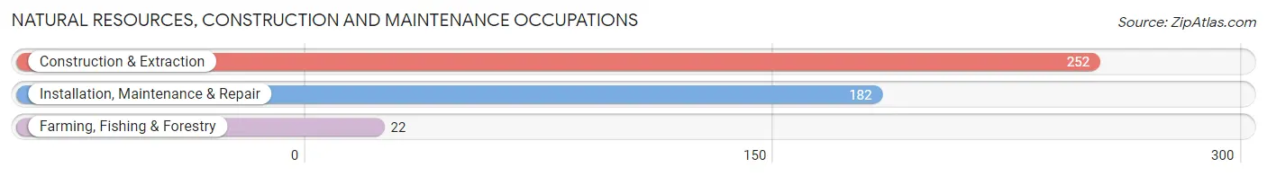 Natural Resources, Construction and Maintenance Occupations in Zip Code 38572