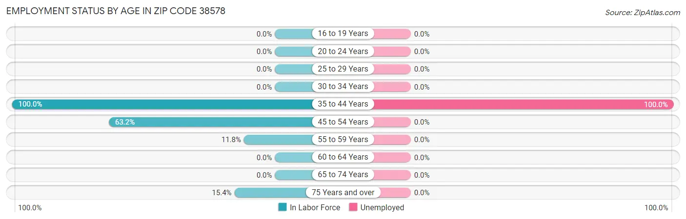 Employment Status by Age in Zip Code 38578
