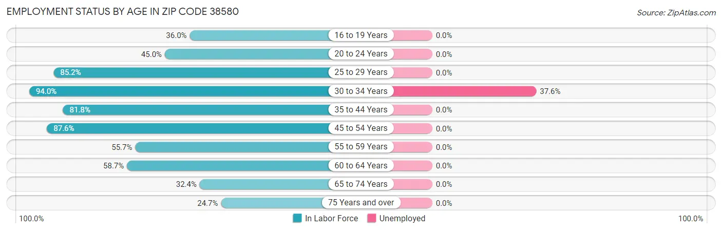 Employment Status by Age in Zip Code 38580