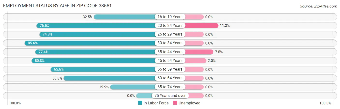 Employment Status by Age in Zip Code 38581