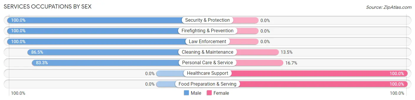 Services Occupations by Sex in Zip Code 38603