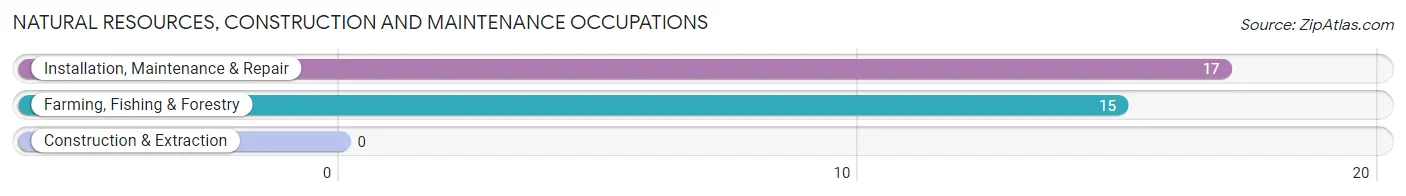 Natural Resources, Construction and Maintenance Occupations in Zip Code 38639