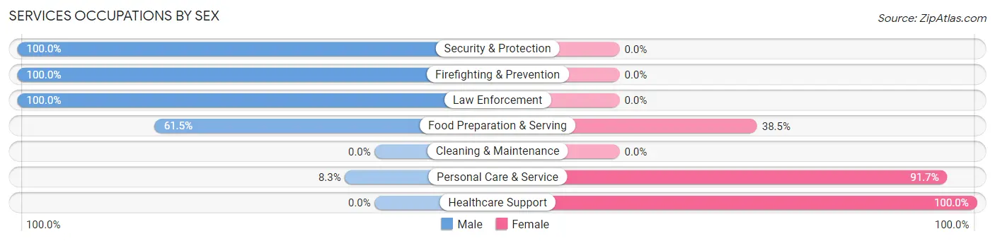 Services Occupations by Sex in Zip Code 38641