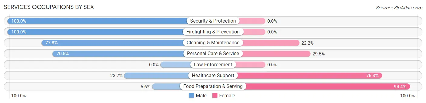 Services Occupations by Sex in Zip Code 38651