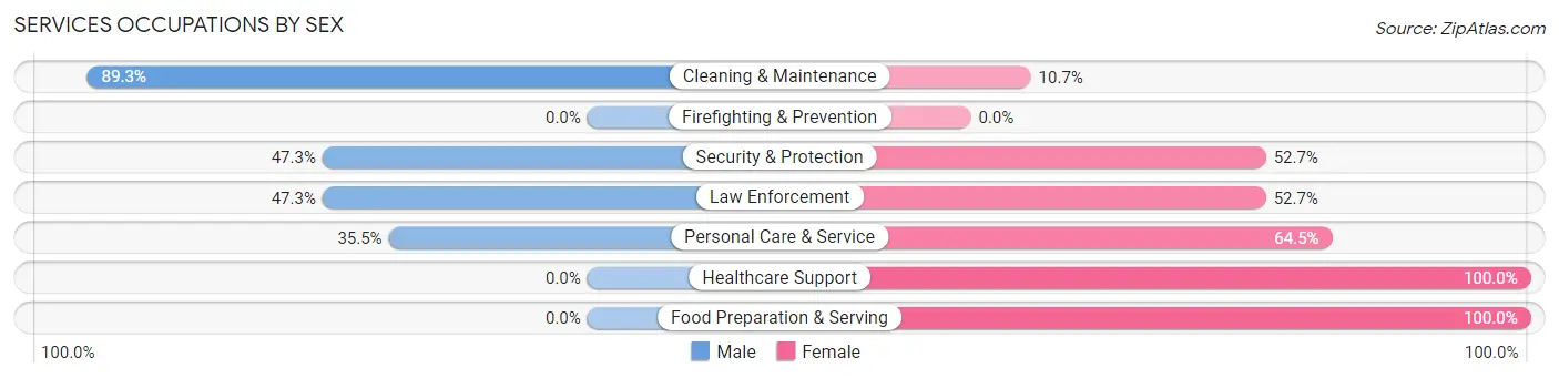Services Occupations by Sex in Zip Code 38680