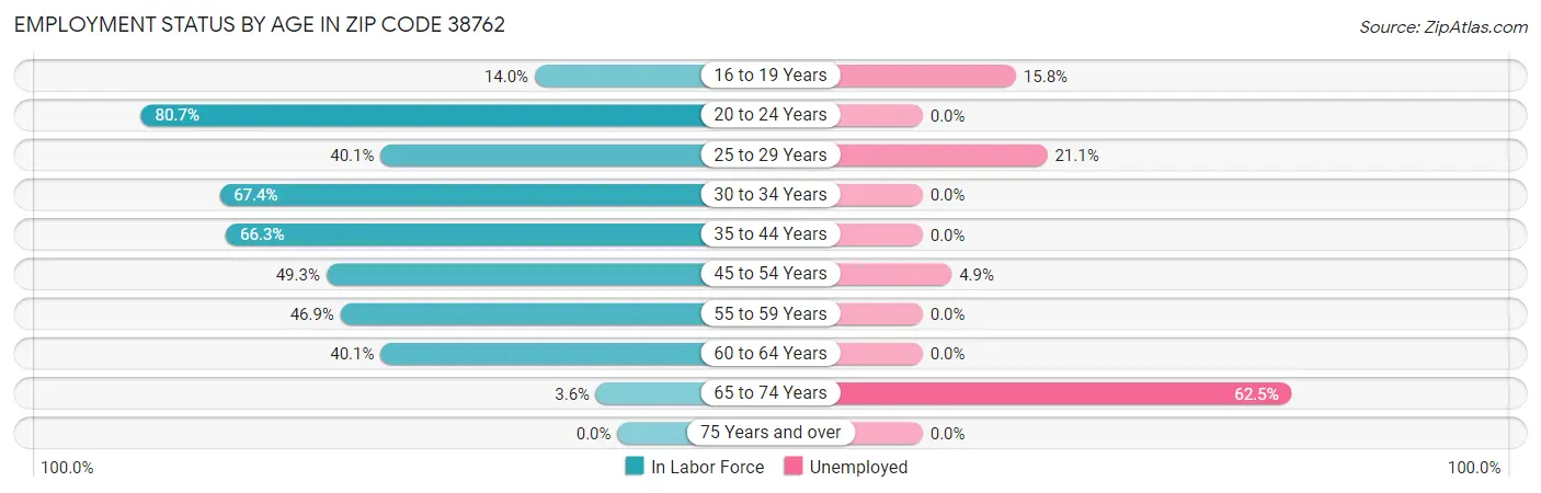 Employment Status by Age in Zip Code 38762