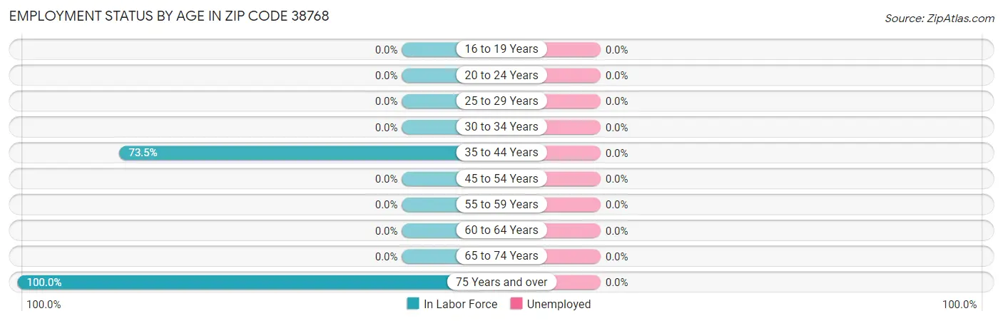 Employment Status by Age in Zip Code 38768