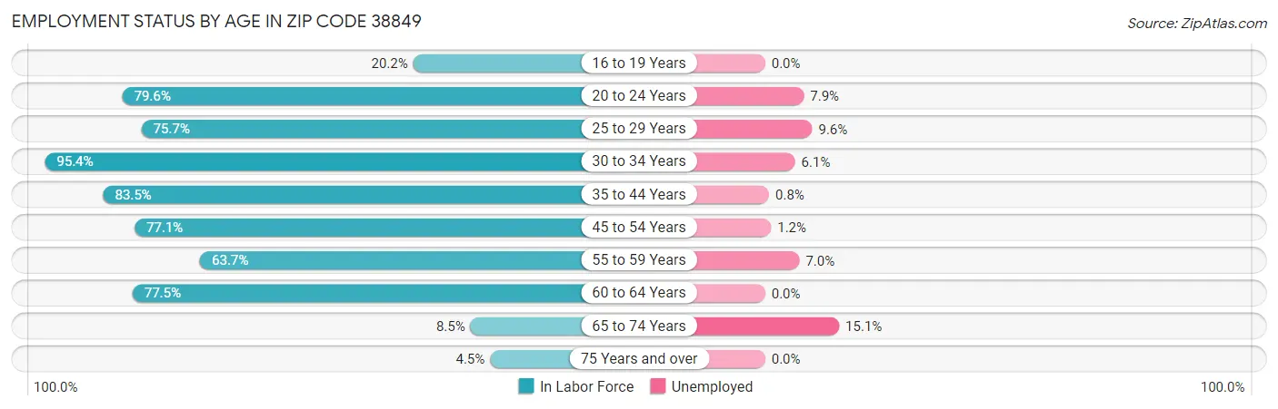 Employment Status by Age in Zip Code 38849