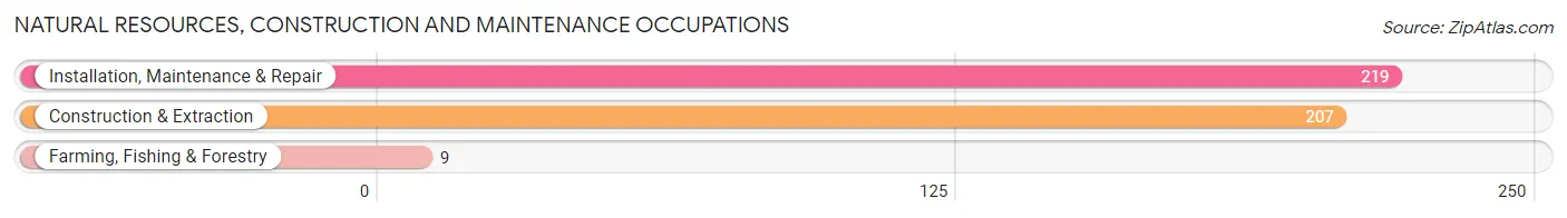 Natural Resources, Construction and Maintenance Occupations in Zip Code 38852