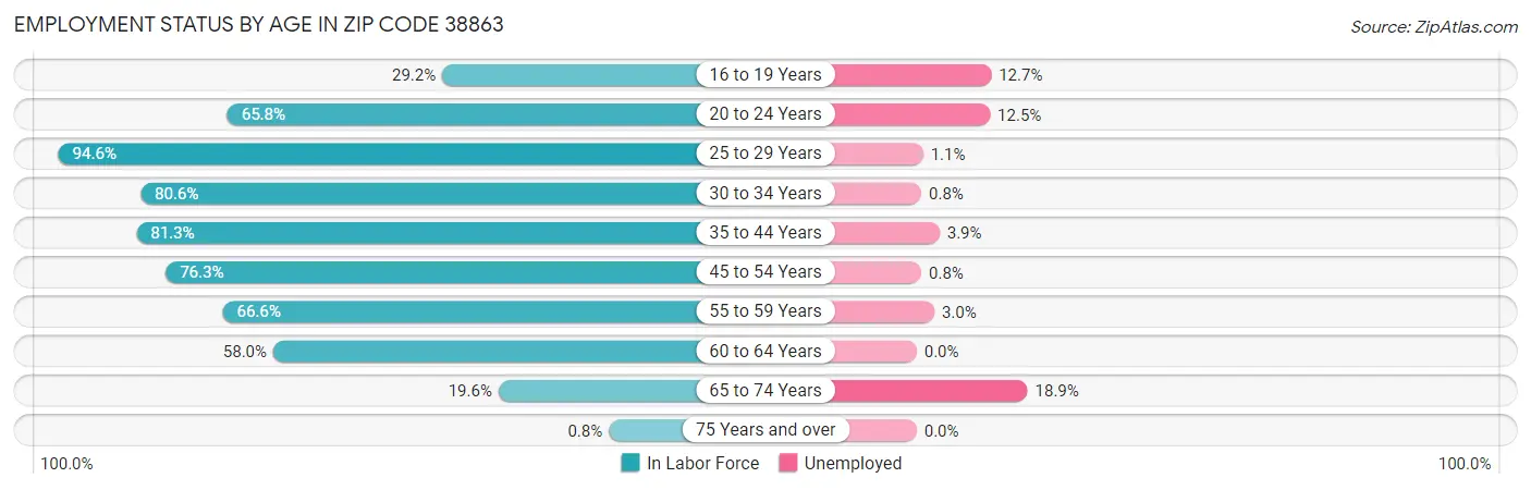 Employment Status by Age in Zip Code 38863