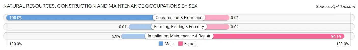 Natural Resources, Construction and Maintenance Occupations by Sex in Zip Code 38864