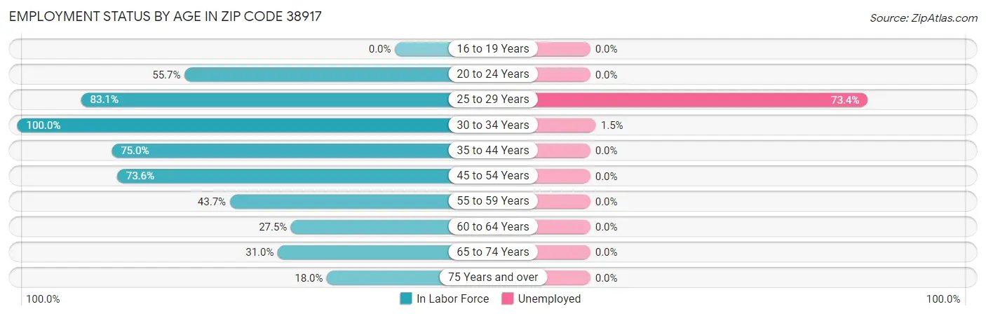 Employment Status by Age in Zip Code 38917