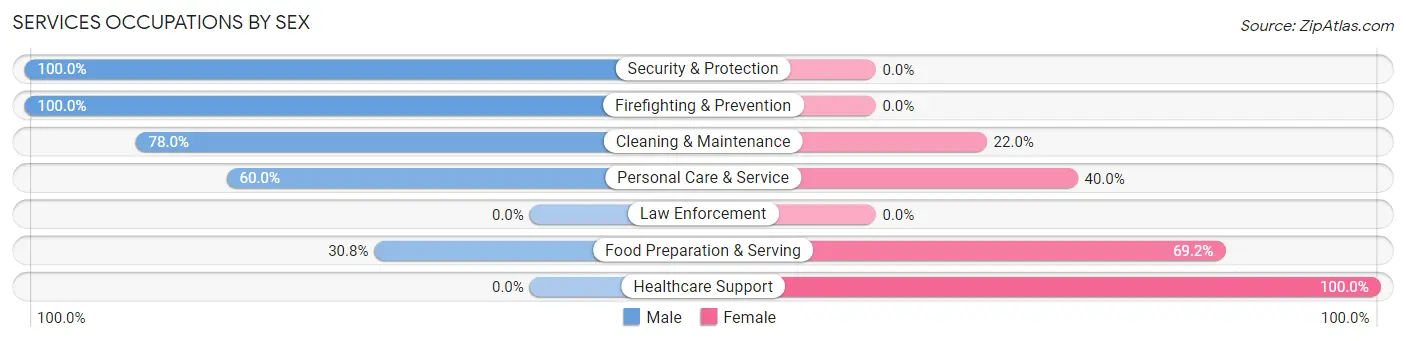 Services Occupations by Sex in Zip Code 38922