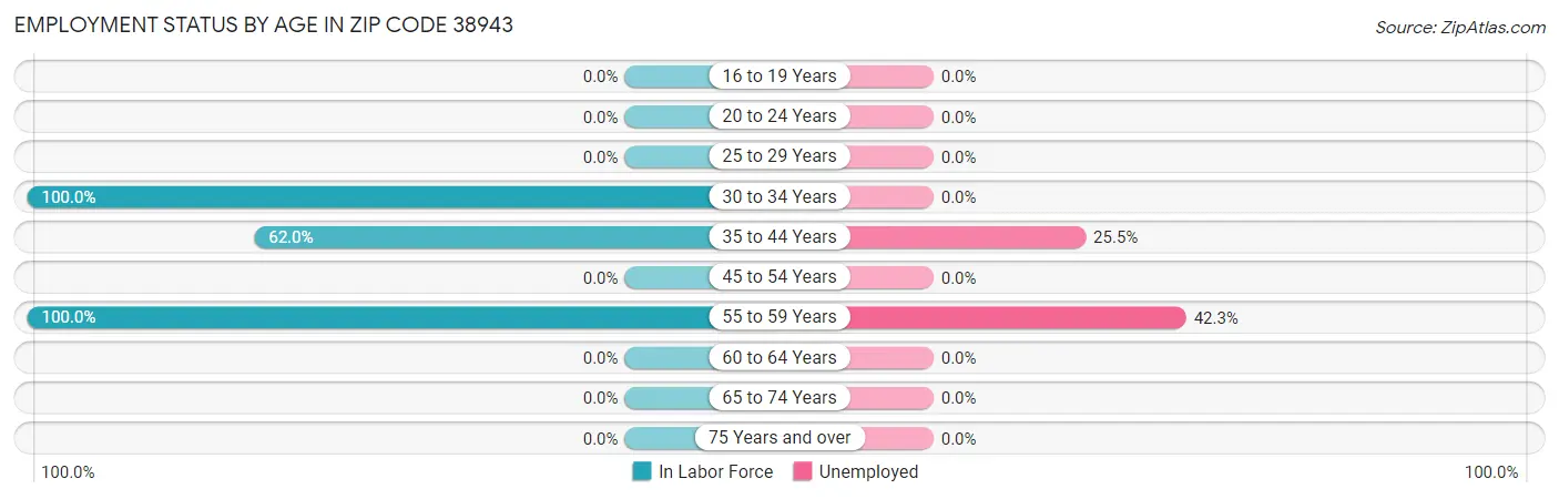 Employment Status by Age in Zip Code 38943