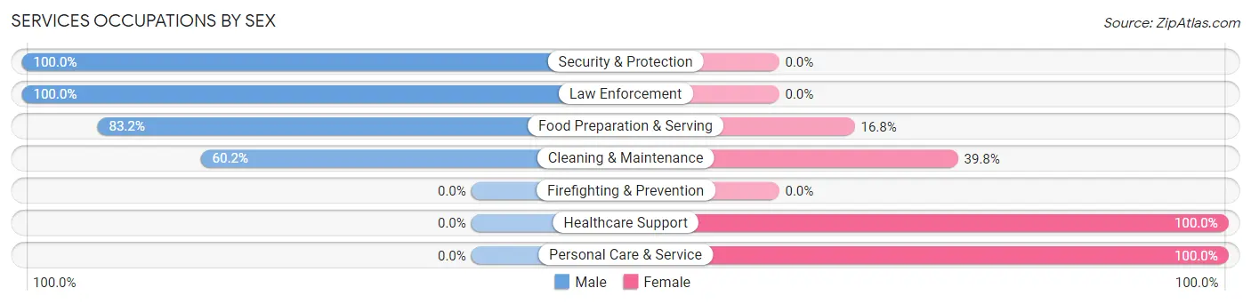 Services Occupations by Sex in Zip Code 39041