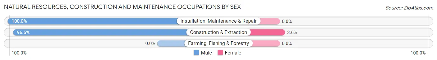 Natural Resources, Construction and Maintenance Occupations by Sex in Zip Code 39114