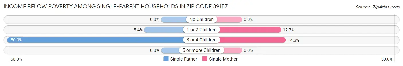 Income Below Poverty Among Single-Parent Households in Zip Code 39157