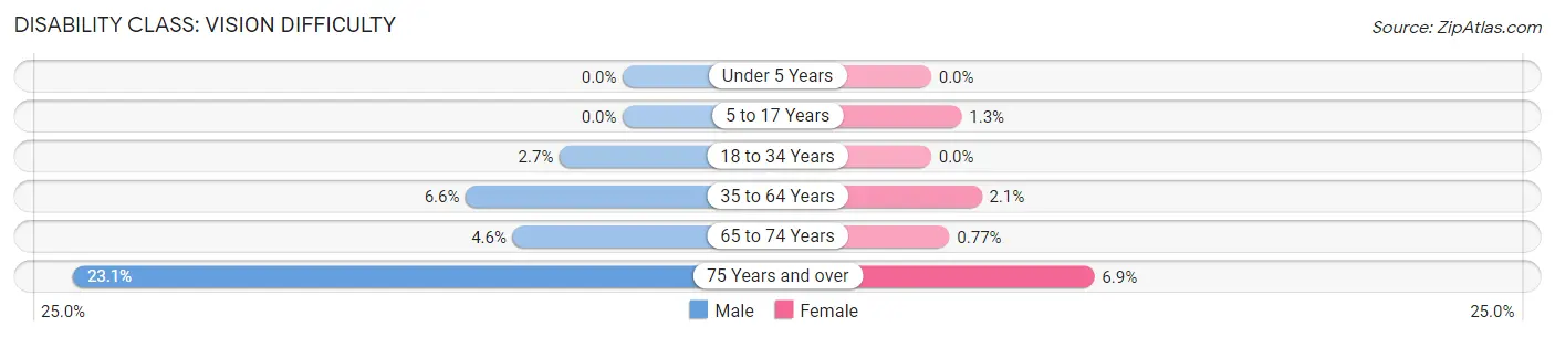 Disability in Zip Code 39204: <span>Vision Difficulty</span>