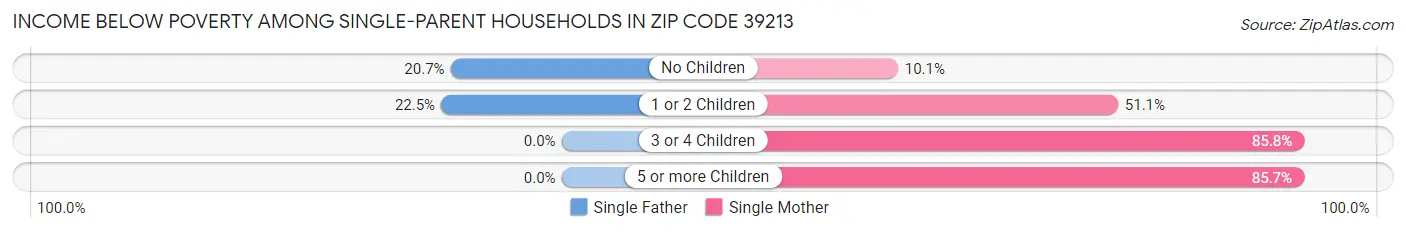 Income Below Poverty Among Single-Parent Households in Zip Code 39213