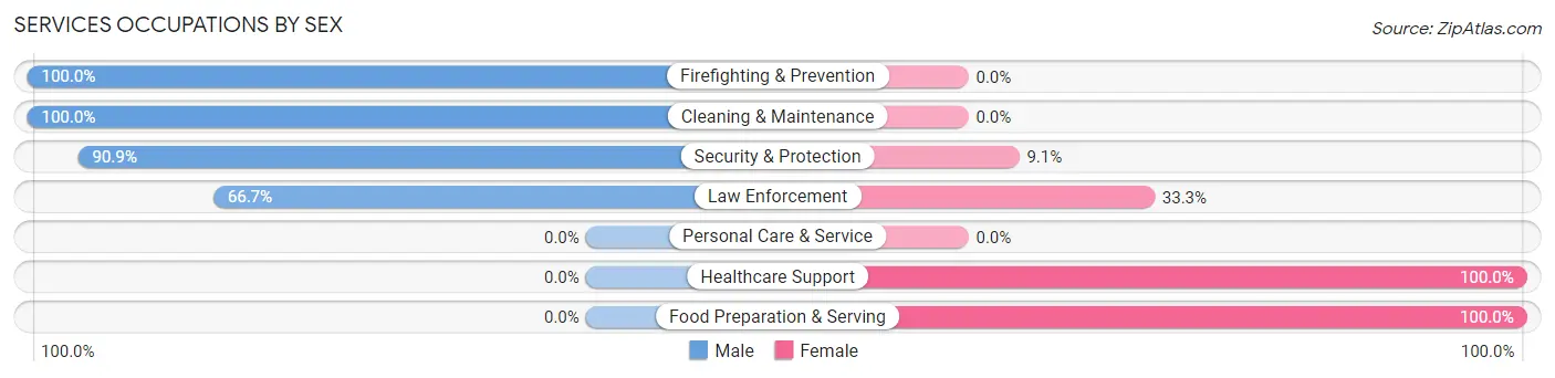Services Occupations by Sex in Zip Code 39743