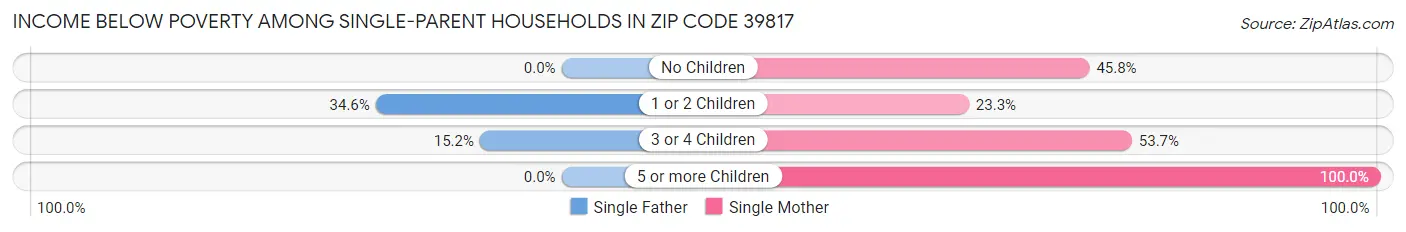 Income Below Poverty Among Single-Parent Households in Zip Code 39817