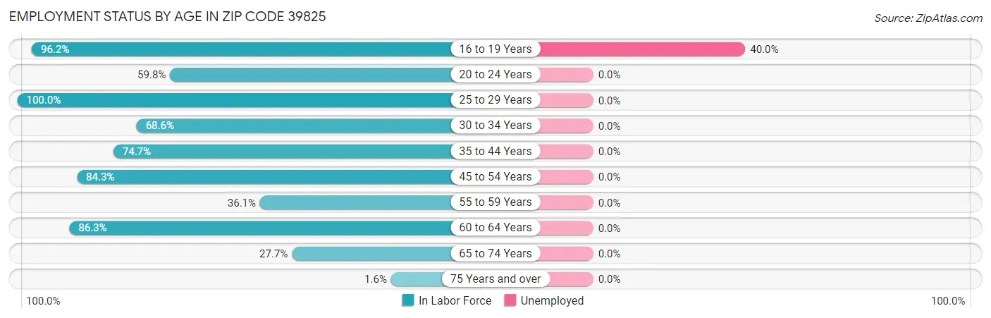 Employment Status by Age in Zip Code 39825