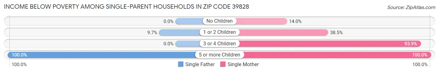 Income Below Poverty Among Single-Parent Households in Zip Code 39828