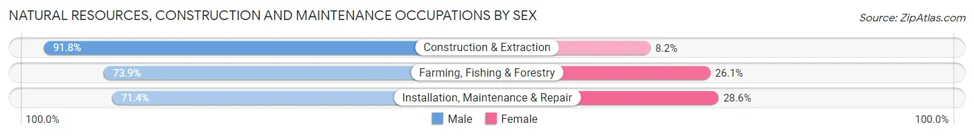 Natural Resources, Construction and Maintenance Occupations by Sex in Zip Code 39828