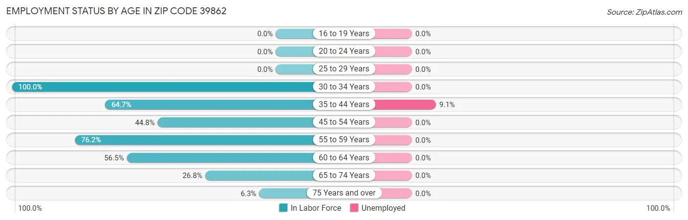 Employment Status by Age in Zip Code 39862