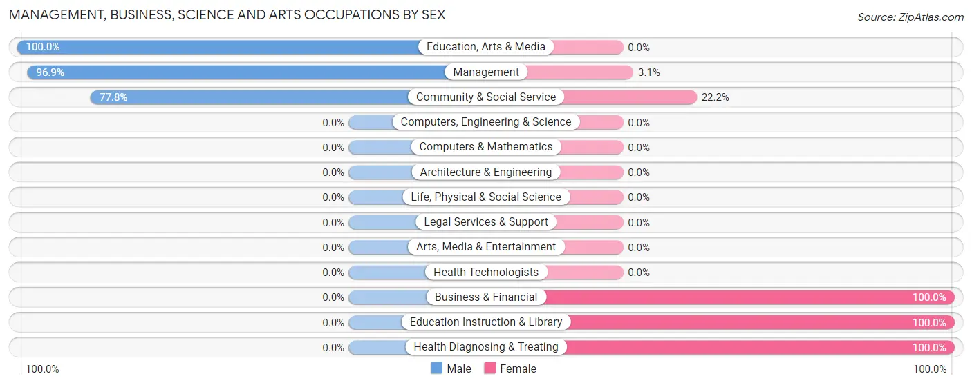 Management, Business, Science and Arts Occupations by Sex in Zip Code 39866