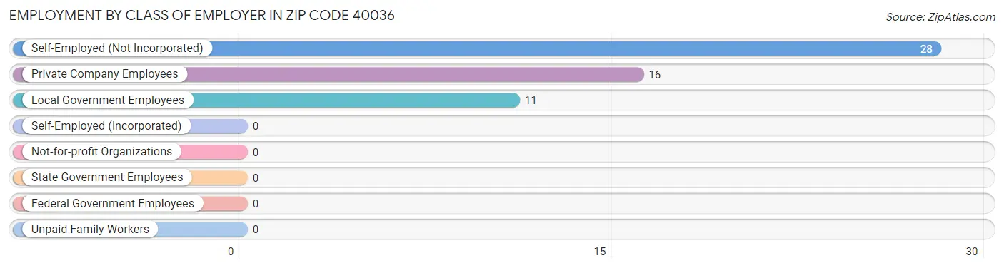 Employment by Class of Employer in Zip Code 40036