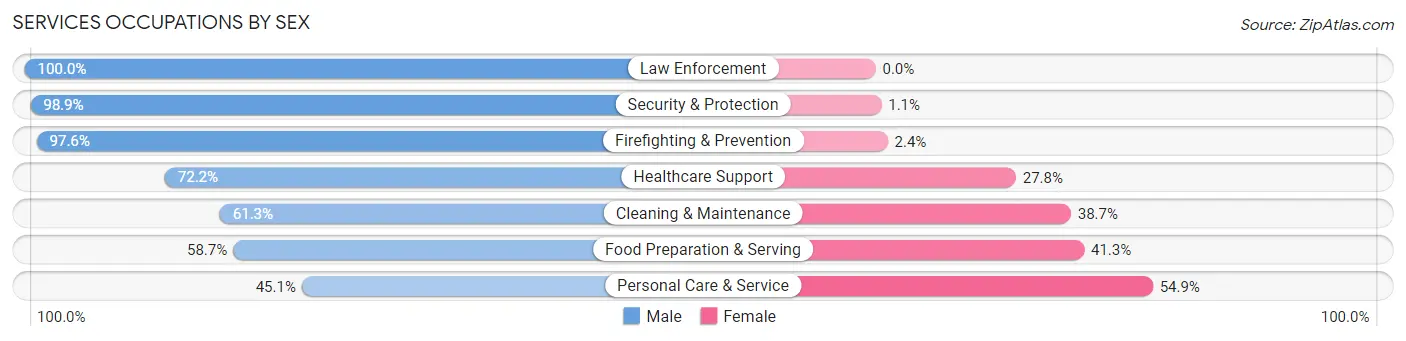 Services Occupations by Sex in Zip Code 40059