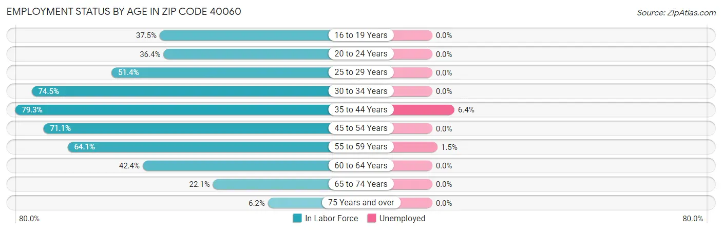 Employment Status by Age in Zip Code 40060