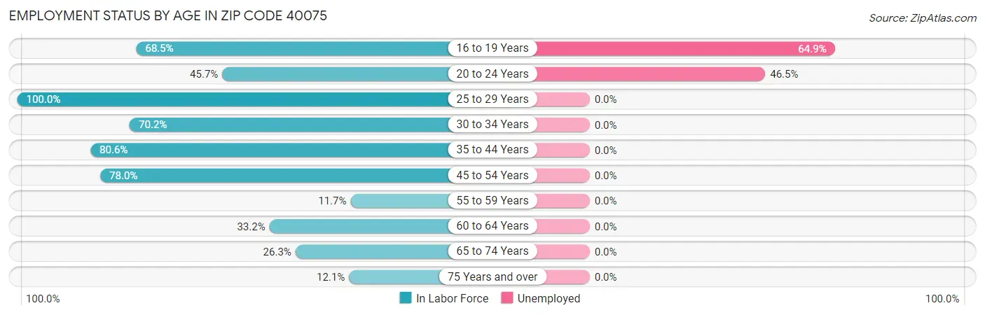 Employment Status by Age in Zip Code 40075