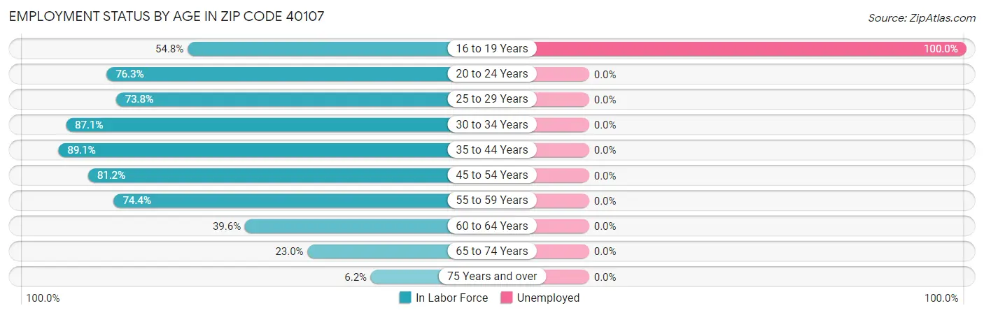 Employment Status by Age in Zip Code 40107