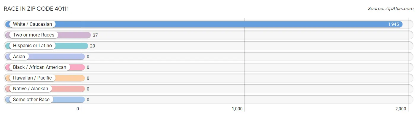 Race in Zip Code 40111