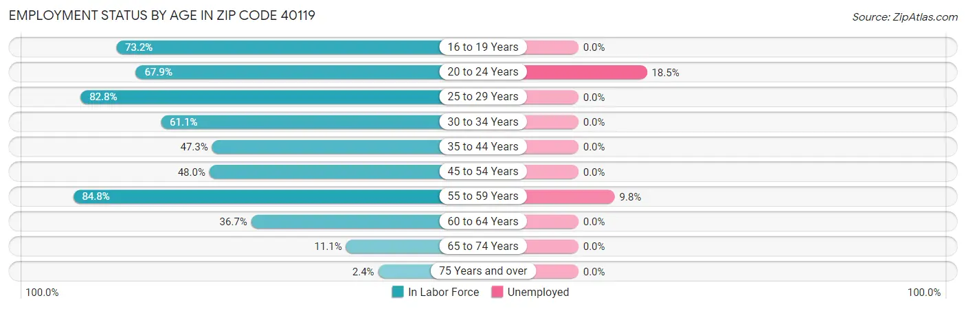 Employment Status by Age in Zip Code 40119