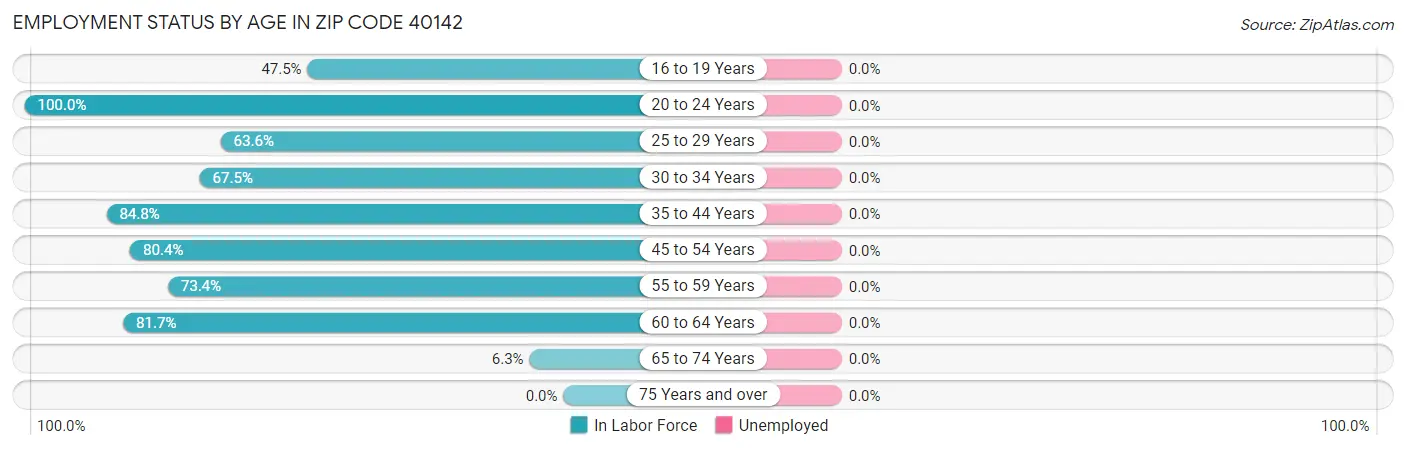 Employment Status by Age in Zip Code 40142