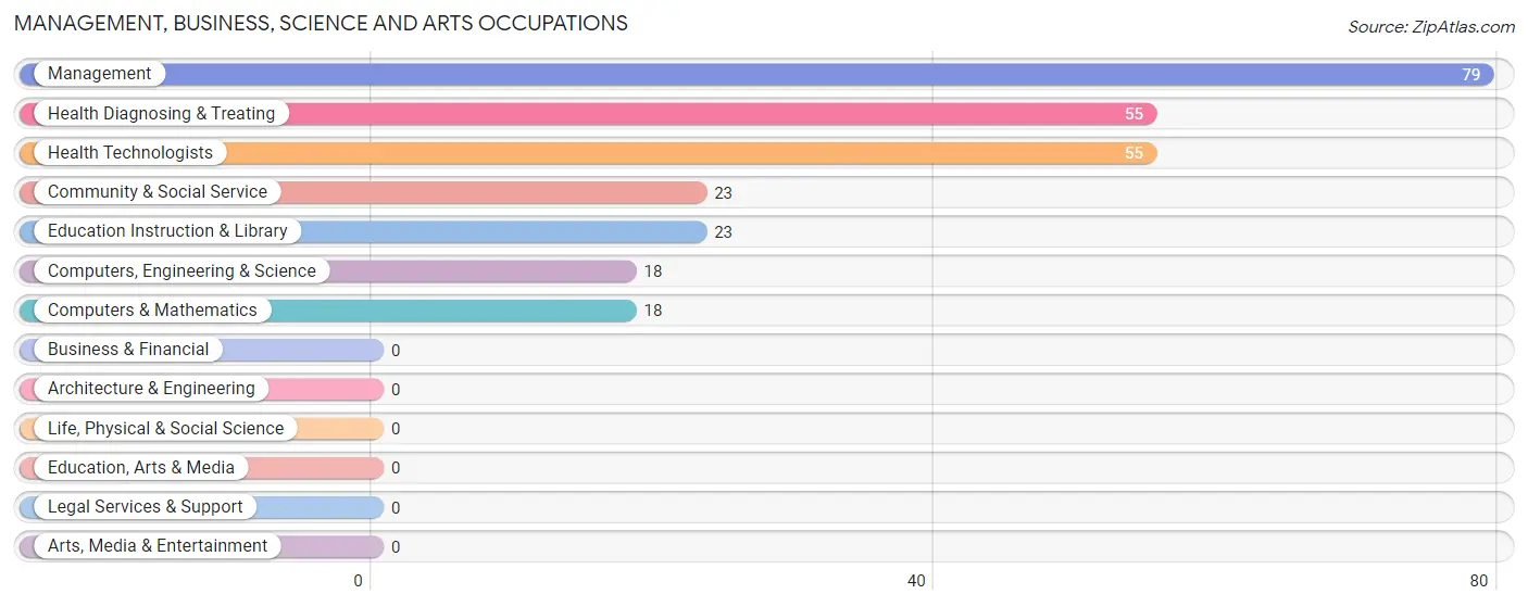 Management, Business, Science and Arts Occupations in Zip Code 40142