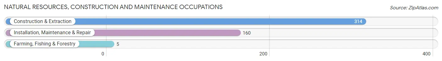 Natural Resources, Construction and Maintenance Occupations in Zip Code 40205